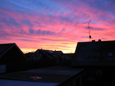 dawn 2